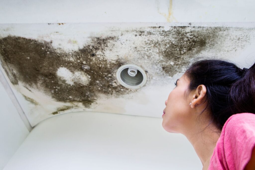 water stains ceiling